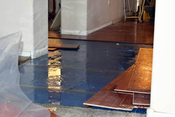 Professional Basement Flooding technician working in Tow, TX